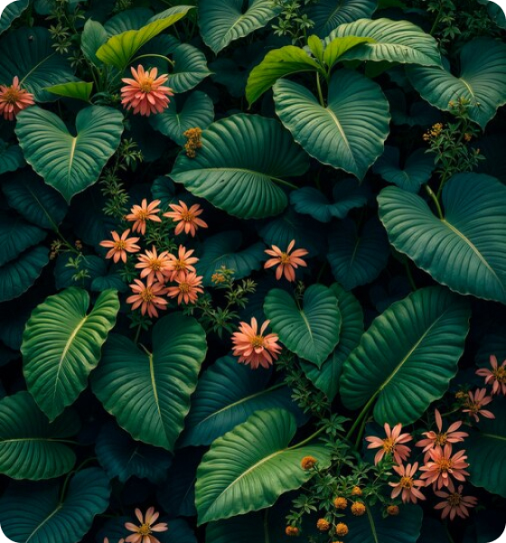 Plantas